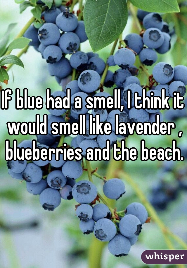 If blue had a smell, I think it would smell like lavender , blueberries and the beach.
