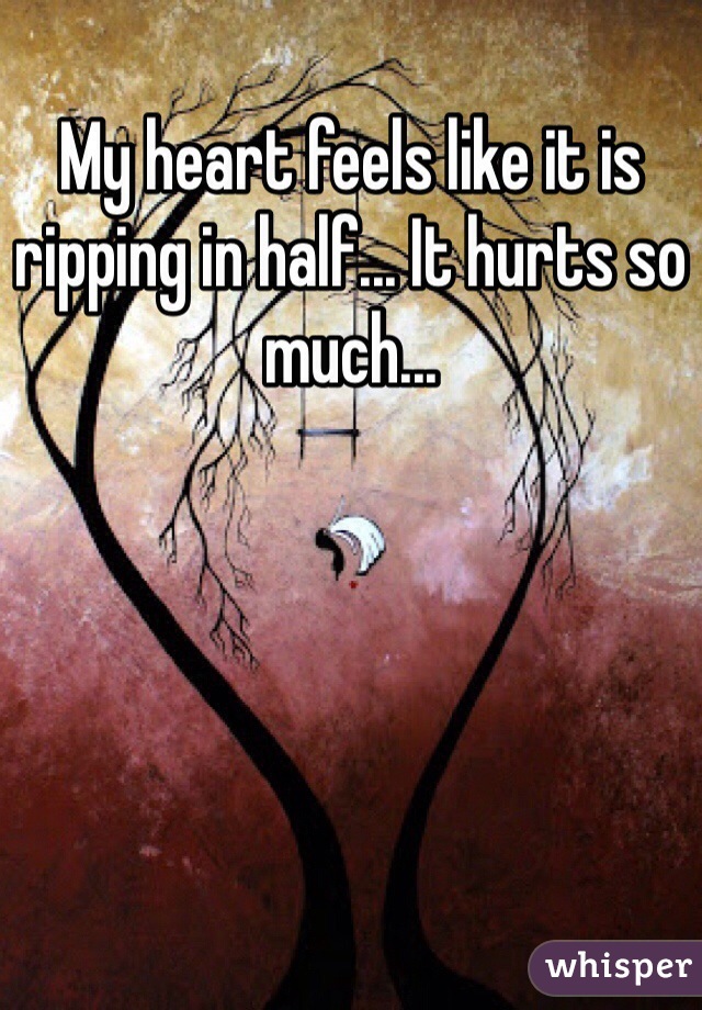 My heart feels like it is ripping in half... It hurts so much...
