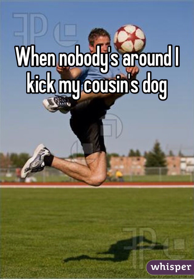 When nobody's around I kick my cousin's dog 