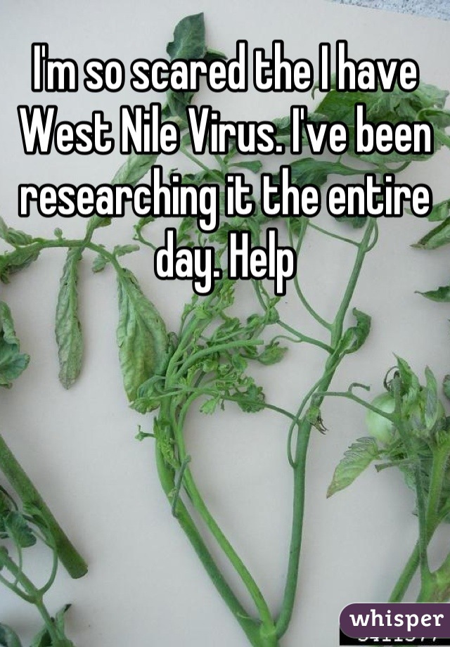 I'm so scared the I have West Nile Virus. I've been researching it the entire day. Help