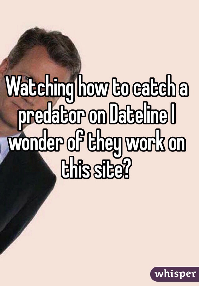 Watching how to catch a predator on Dateline I wonder of they work on this site? 
