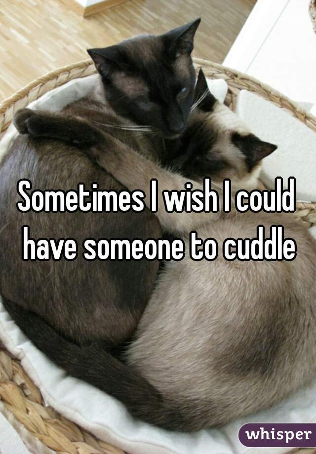 Sometimes I wish I could have someone to cuddle