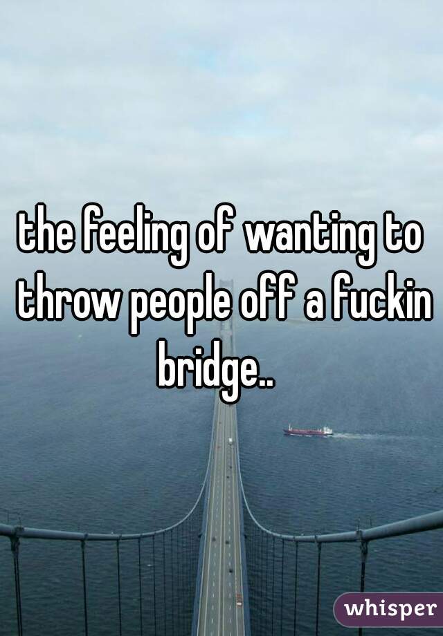 the feeling of wanting to throw people off a fuckin bridge..  