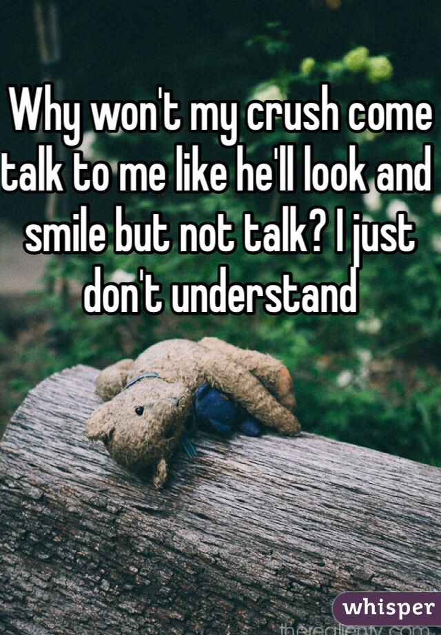 Why won't my crush come talk to me like he'll look and smile but not talk? I just don't understand 