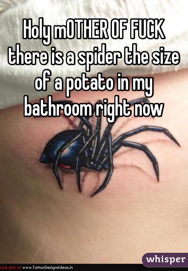 Holy mOTHER OF FUCK there is a spider the size of a potato in my bathroom right now