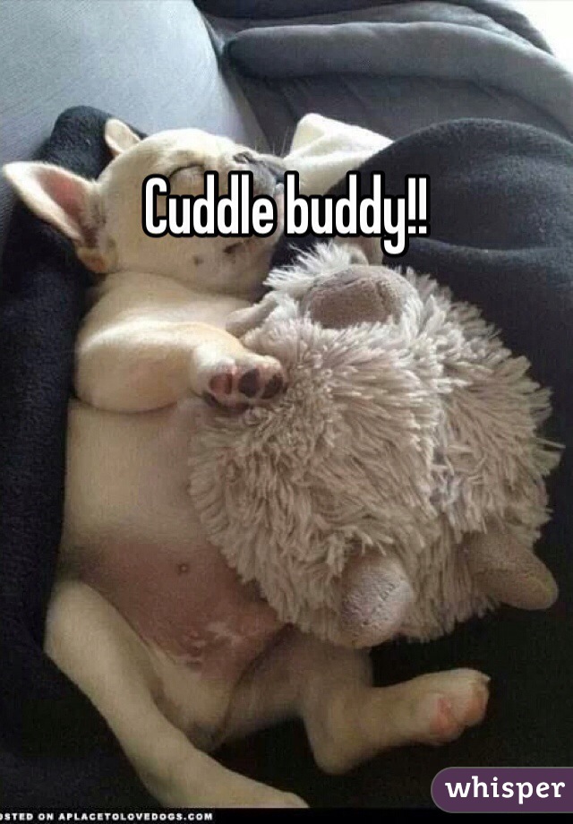 Cuddle buddy!!
