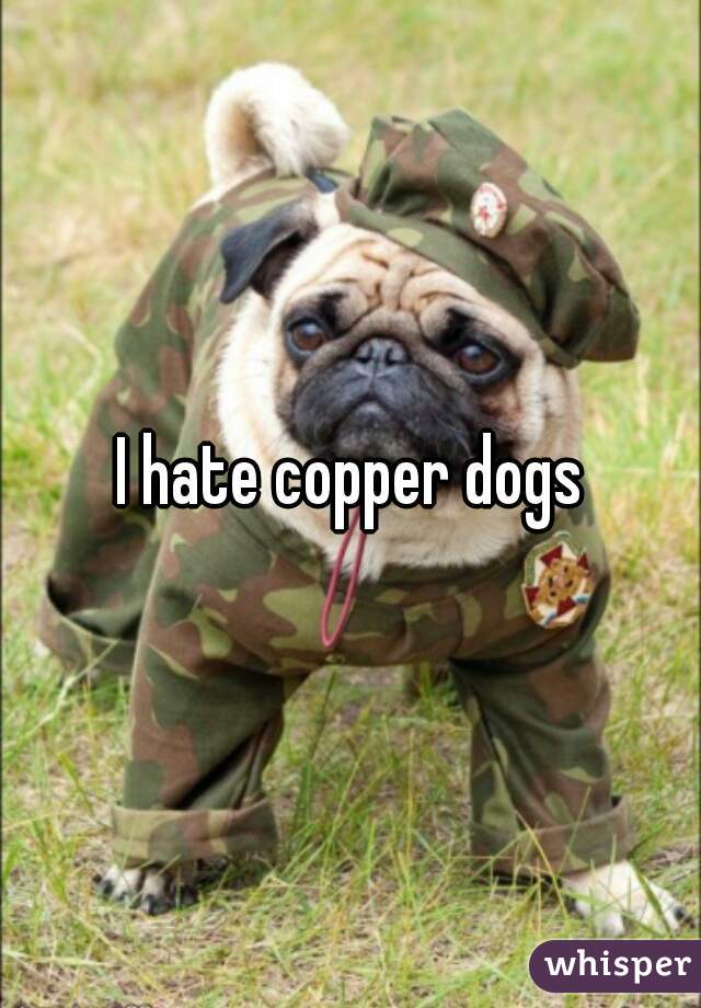 I hate copper dogs