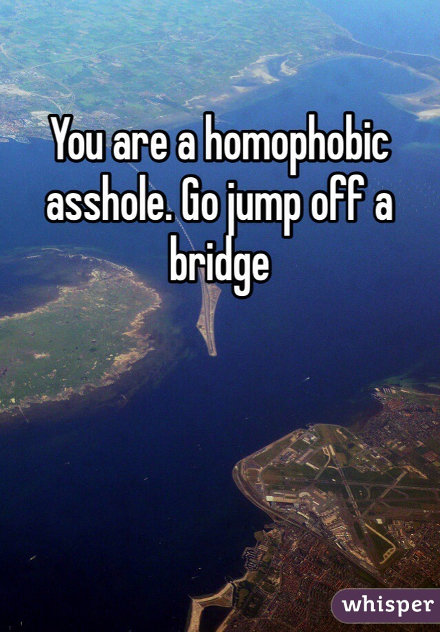 You are a homophobic asshole. Go jump off a bridge