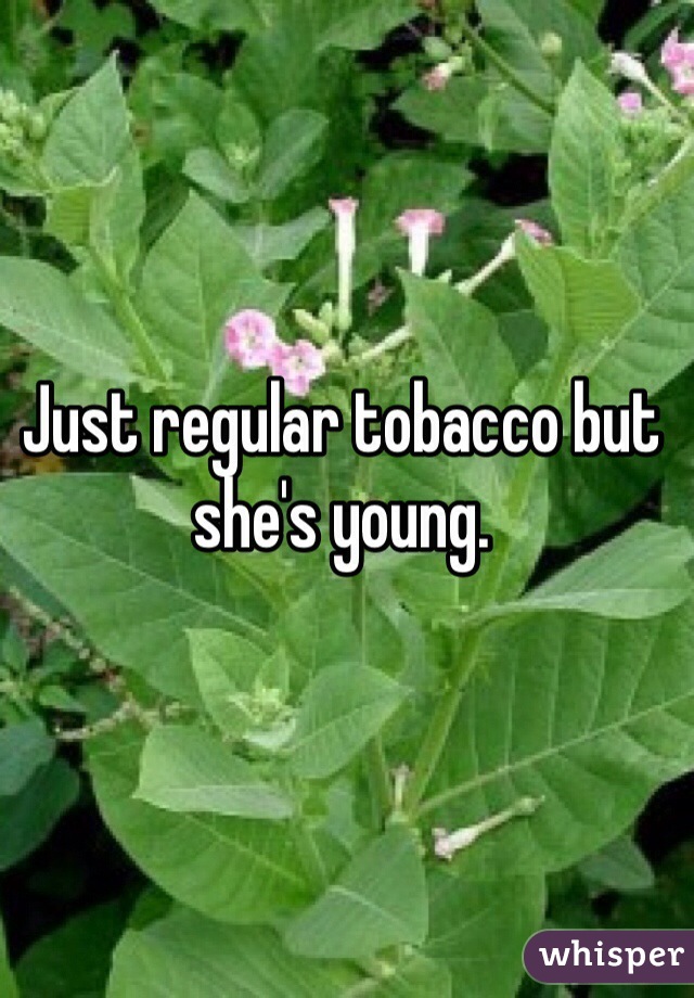 Just regular tobacco but she's young. 