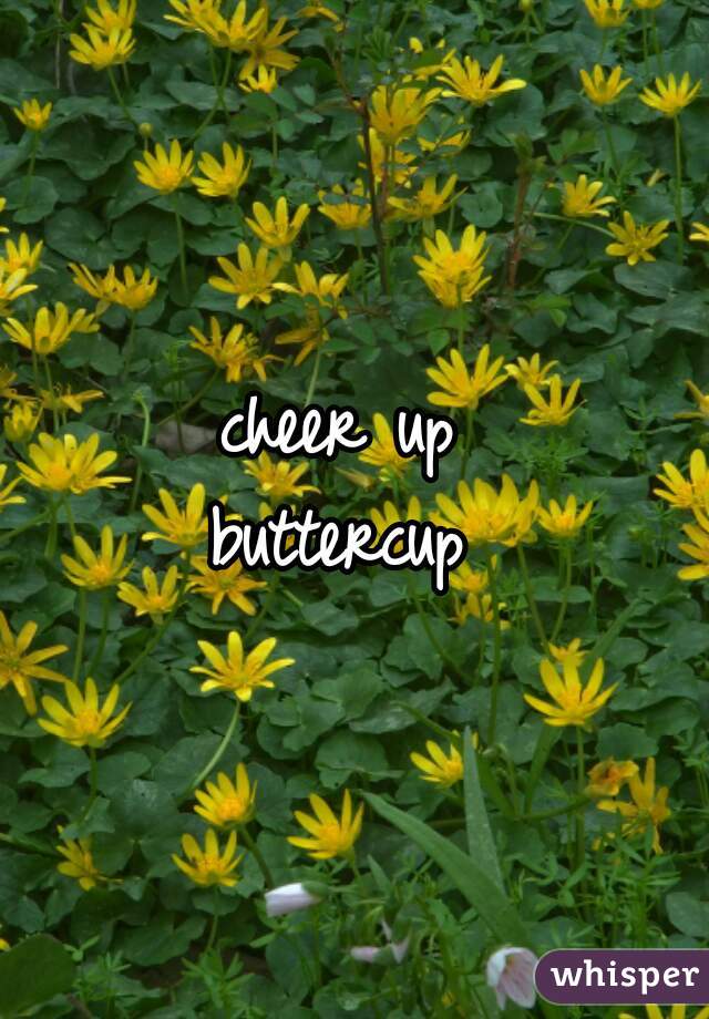 cheer up 
buttercup 