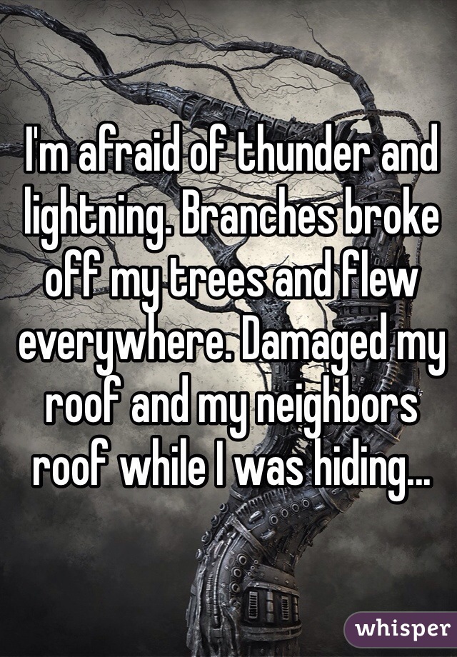 I'm afraid of thunder and lightning. Branches broke off my trees and flew everywhere. Damaged my roof and my neighbors roof while I was hiding...