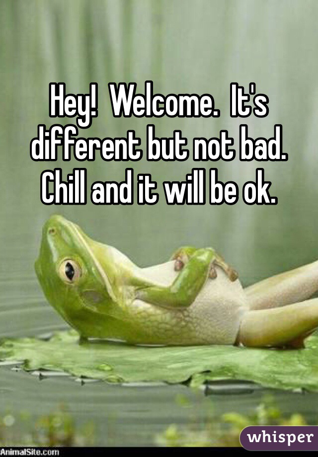 Hey!  Welcome.  It's different but not bad.  Chill and it will be ok.  