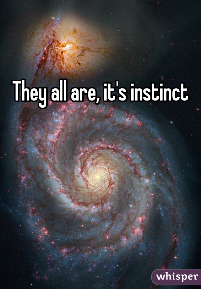 They all are, it's instinct