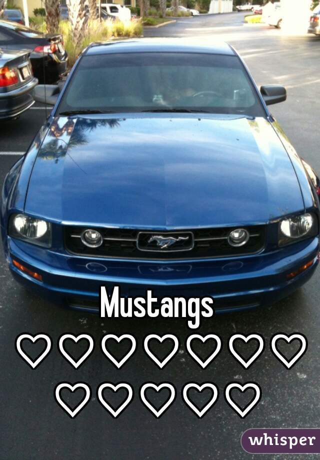 Mustangs ♡♡♡♡♡♡♡♡♡♡♡♡