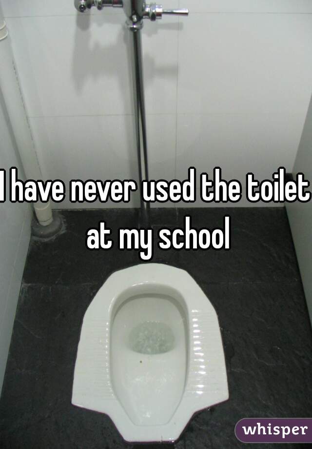 I have never used the toilet at my school