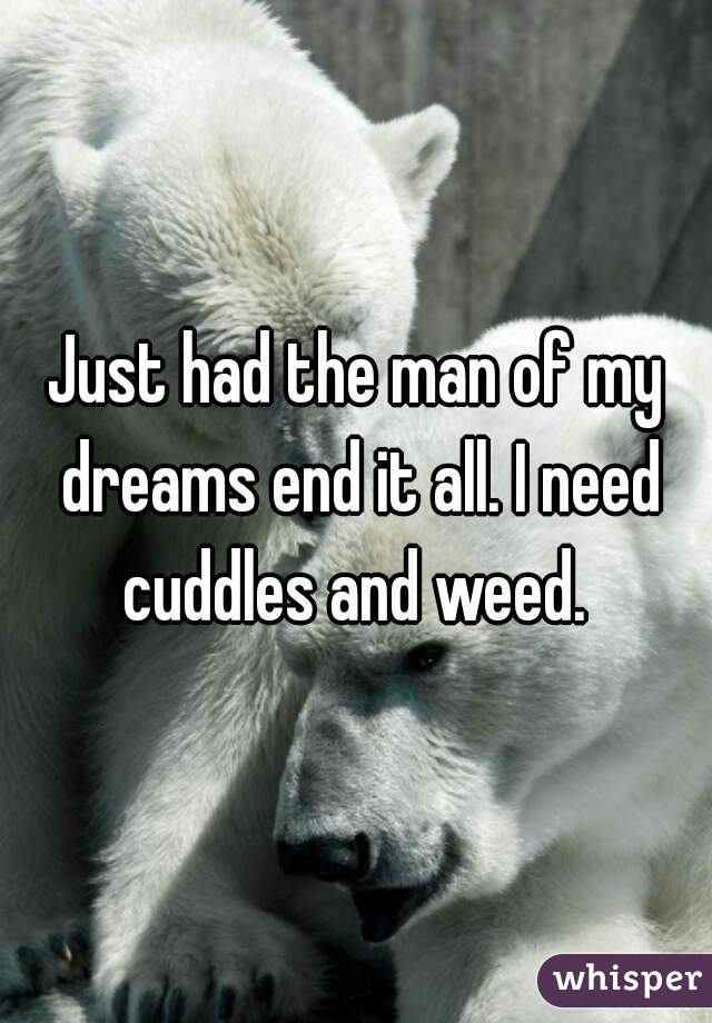 Just had the man of my dreams end it all. I need cuddles and weed. 