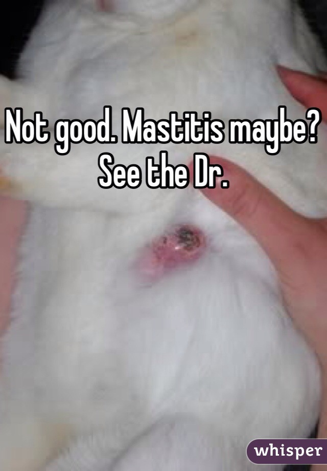 Not good. Mastitis maybe? See the Dr. 