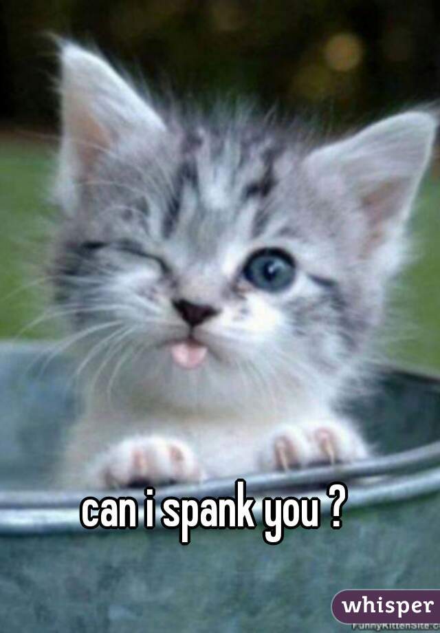 can i spank you ?