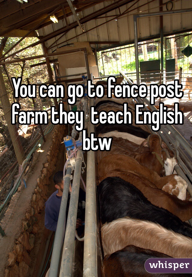 You can go to fence post farm they  teach English btw