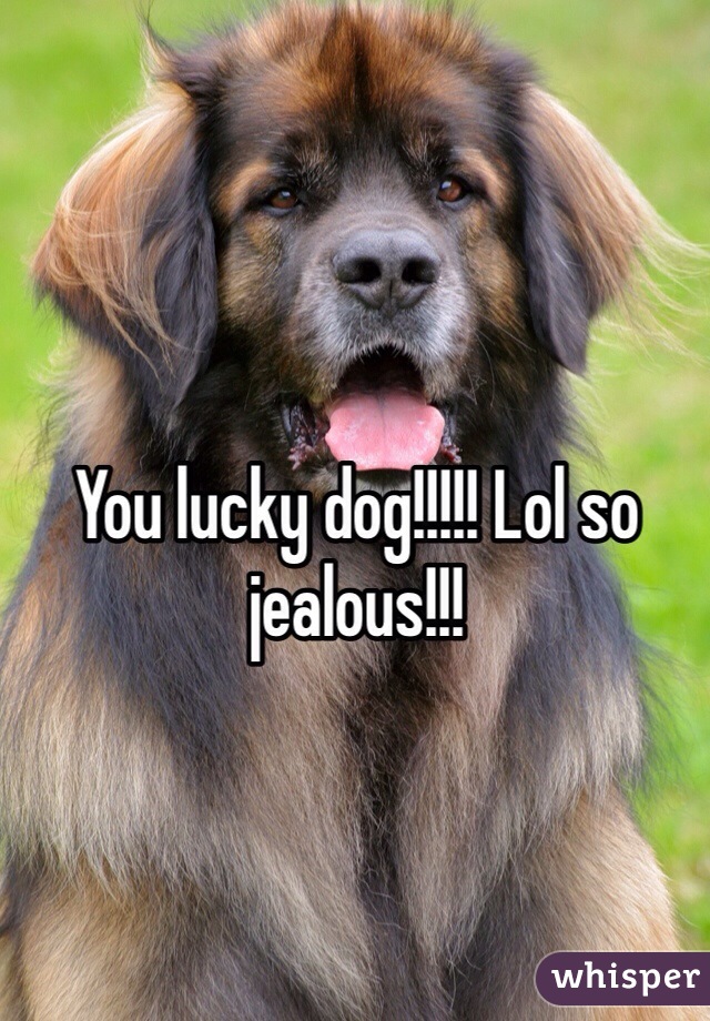 You lucky dog!!!!! Lol so jealous!!!