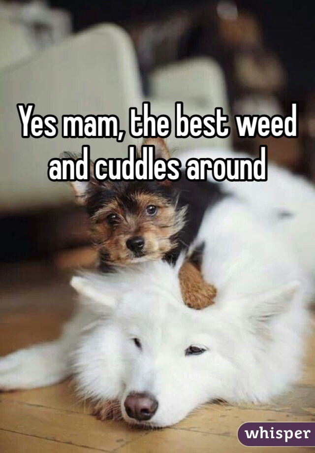 Yes mam, the best weed and cuddles around