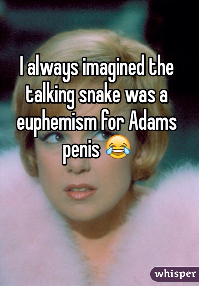 I always imagined the talking snake was a euphemism for Adams penis 😂
