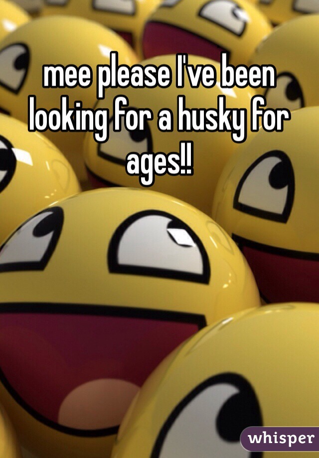 mee please I've been looking for a husky for ages!!
