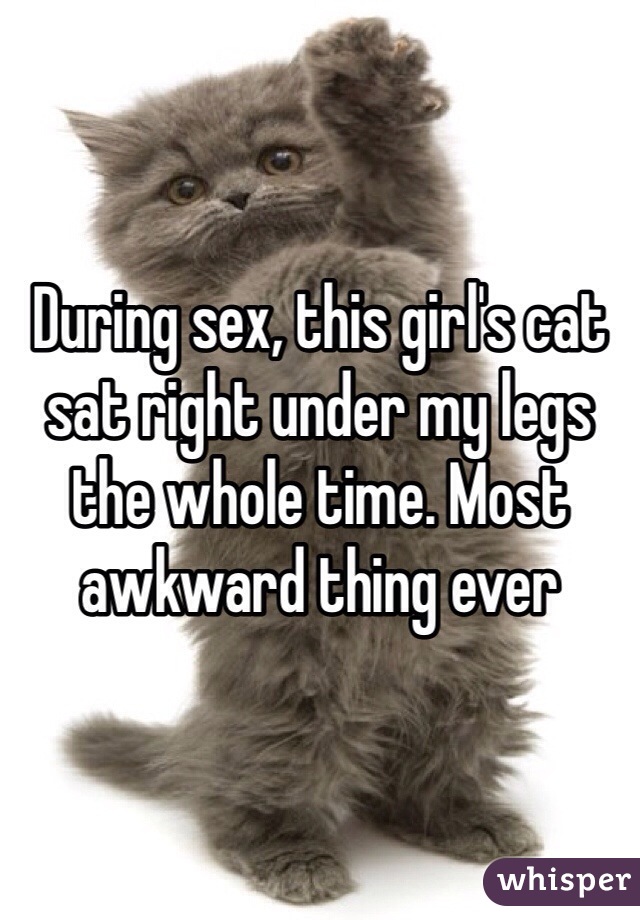 During sex, this girl's cat sat right under my legs the whole time. Most awkward thing ever