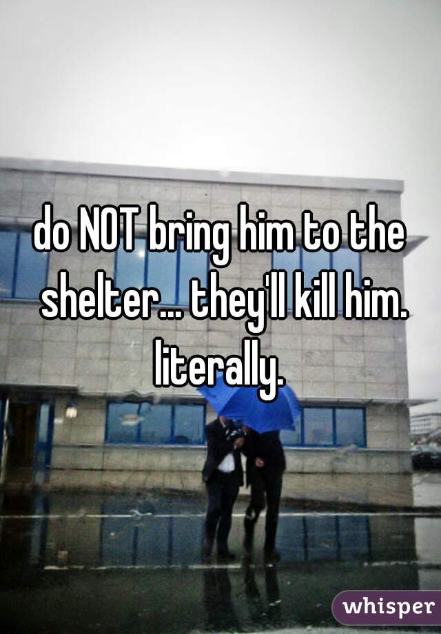 do NOT bring him to the shelter... they'll kill him. literally. 