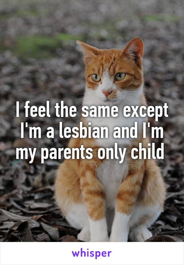I feel the same except I'm a lesbian and I'm my parents only child 