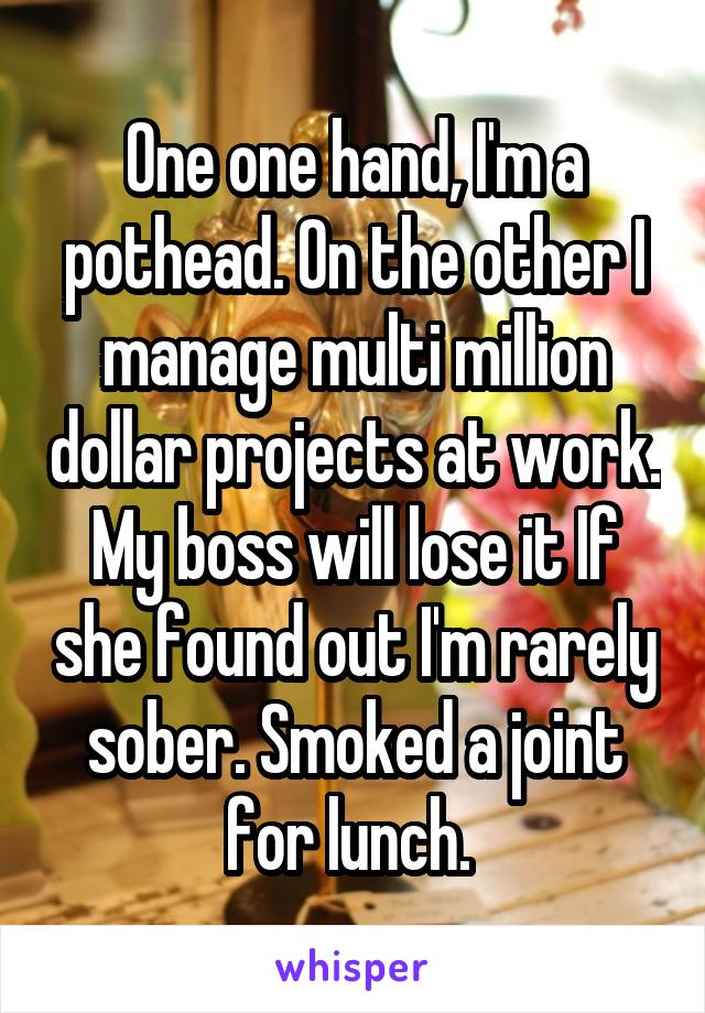 One one hand, I'm a pothead. On the other I manage multi million dollar projects at work. My boss will lose it If she found out I'm rarely sober. Smoked a joint for lunch. 