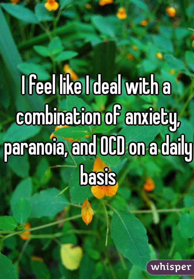 I feel like I deal with a combination of anxiety, paranoia, and OCD on a daily basis