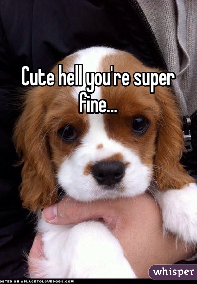 Cute hell you're super fine...
