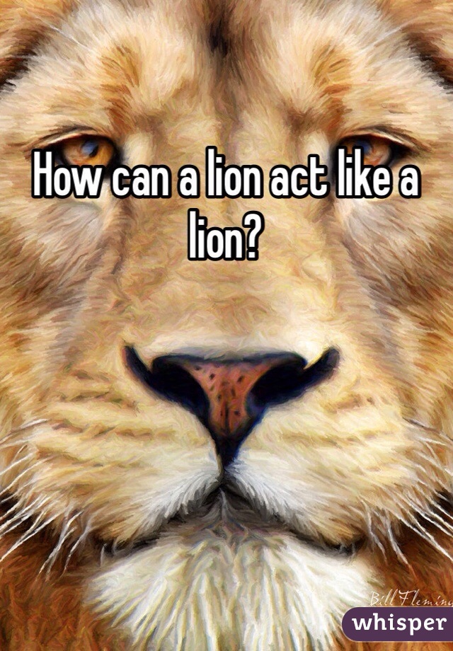 How can a lion act like a lion?