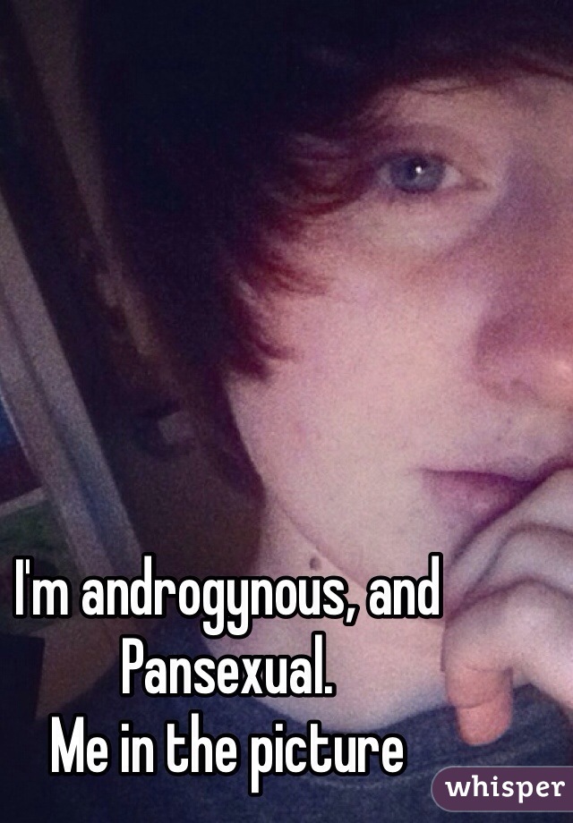 I'm androgynous, and Pansexual.
Me in the picture