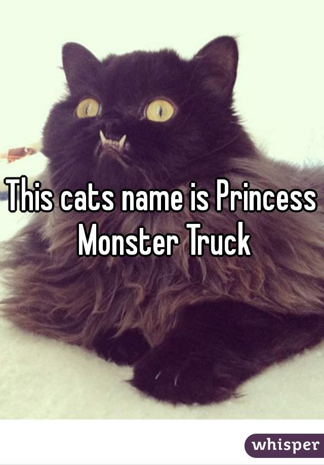 This cats name is Princess Monster Truck