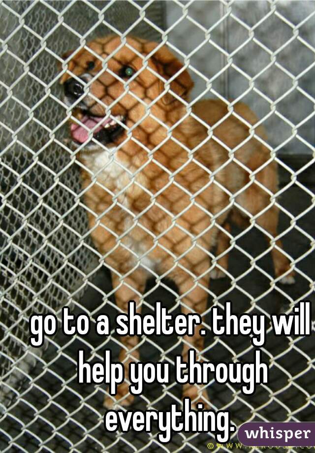 go to a shelter. they will help you through everything. 