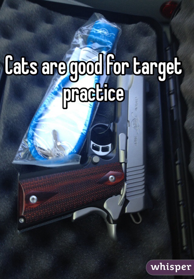 Cats are good for target practice 