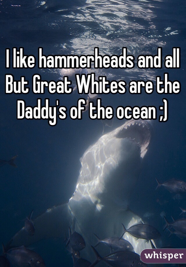 I like hammerheads and all
But Great Whites are the Daddy's of the ocean ;)
