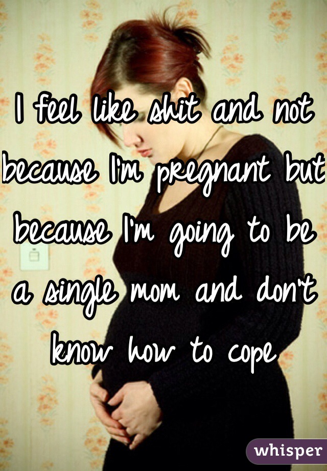 I feel like shit and not because I'm pregnant but because I'm going to be a single mom and don't know how to cope 