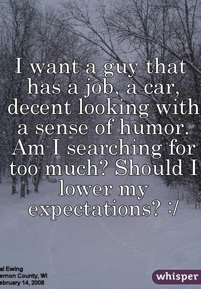 I want a guy that has a job, a car, decent looking with a sense of humor. Am I searching for too much? Should I lower my expectations? :/