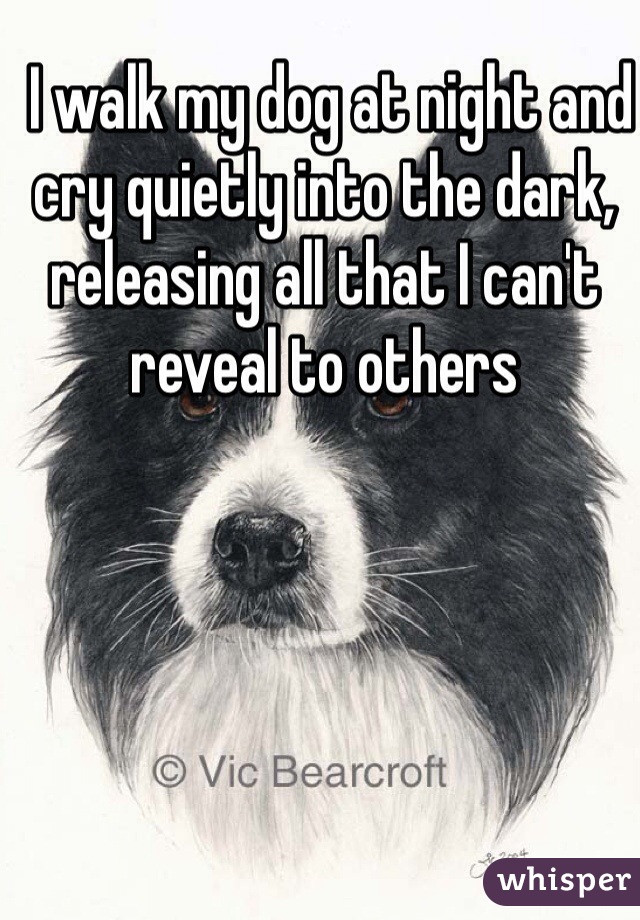  I walk my dog at night and cry quietly into the dark, releasing all that I can't reveal to others 