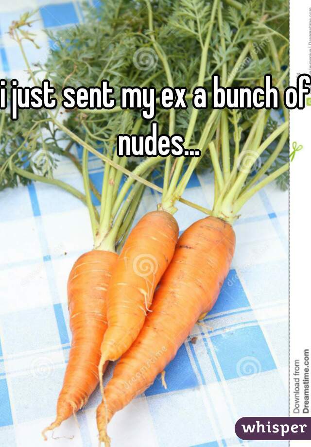 i just sent my ex a bunch of nudes...