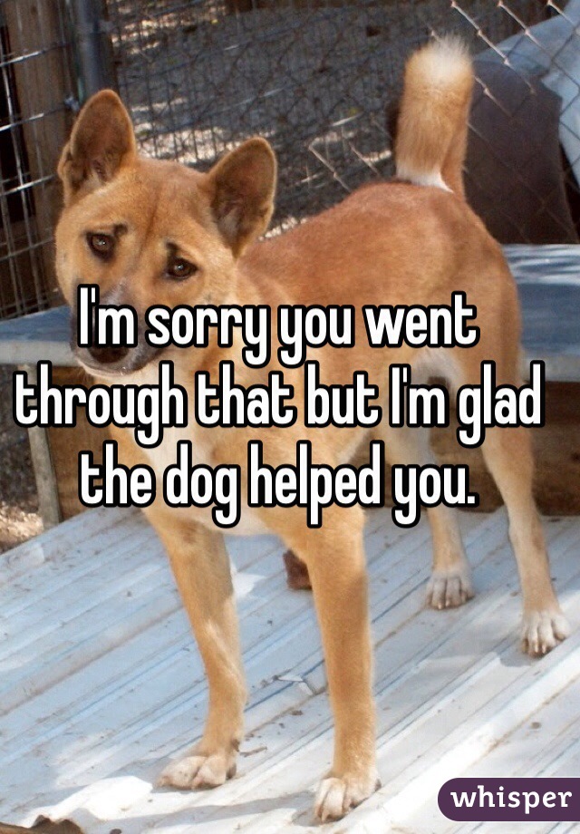 I'm sorry you went through that but I'm glad the dog helped you.