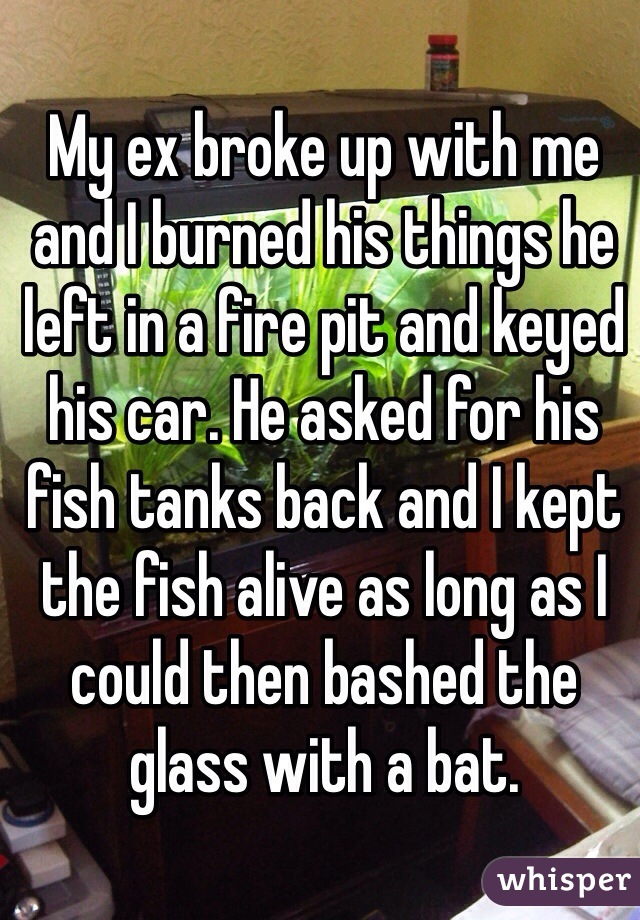 My ex broke up with me and I burned his things he left in a fire pit and keyed his car. He asked for his fish tanks back and I kept the fish alive as long as I could then bashed the glass with a bat. 