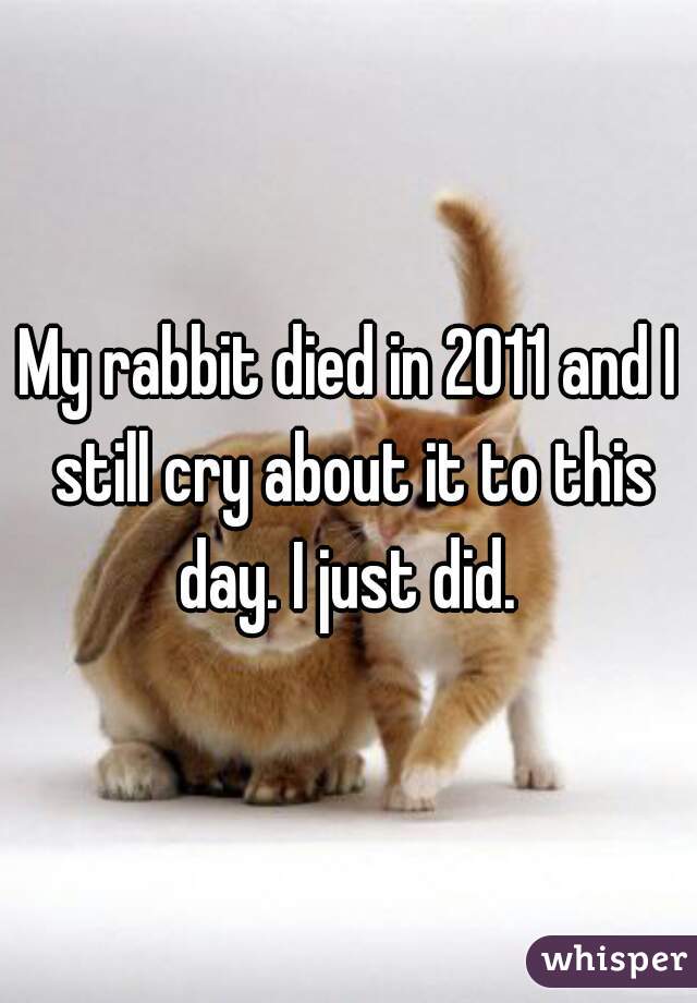 My rabbit died in 2011 and I still cry about it to this day. I just did. 