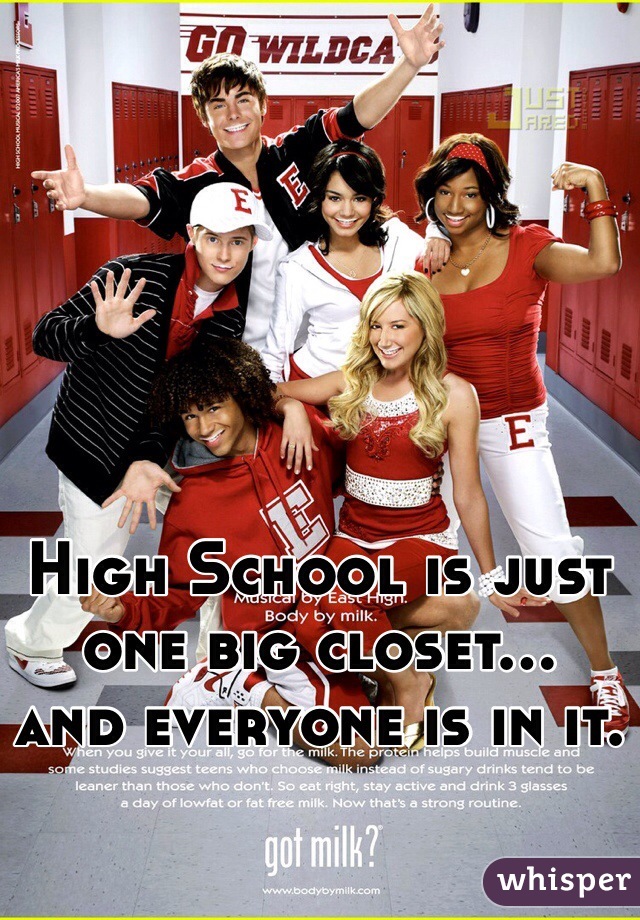 High School is just one big closet…
and everyone is in it. 