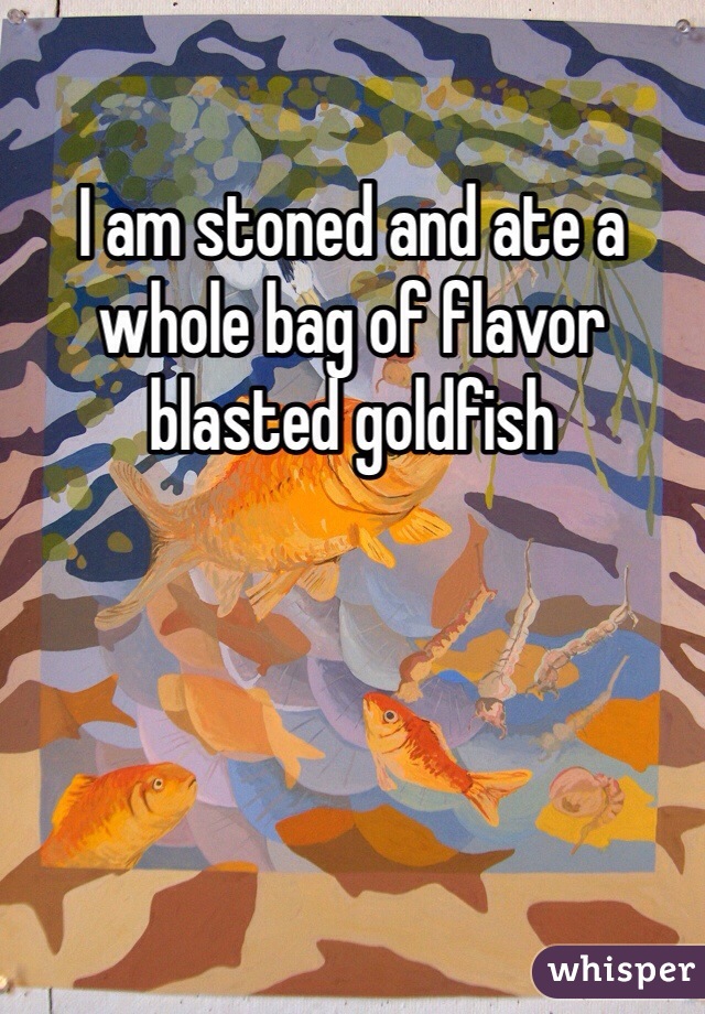 I am stoned and ate a whole bag of flavor blasted goldfish 