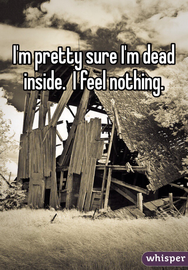 I'm pretty sure I'm dead inside.  I feel nothing.