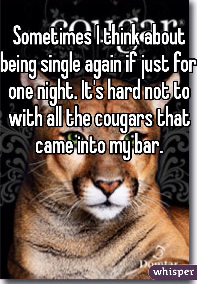 Sometimes I think about being single again if just for one night. It's hard not to with all the cougars that came into my bar.